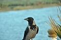 2013 02 06_5821_edited-1